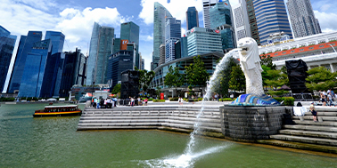 ダミーイメージ